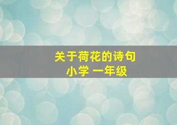 关于荷花的诗句 小学 一年级